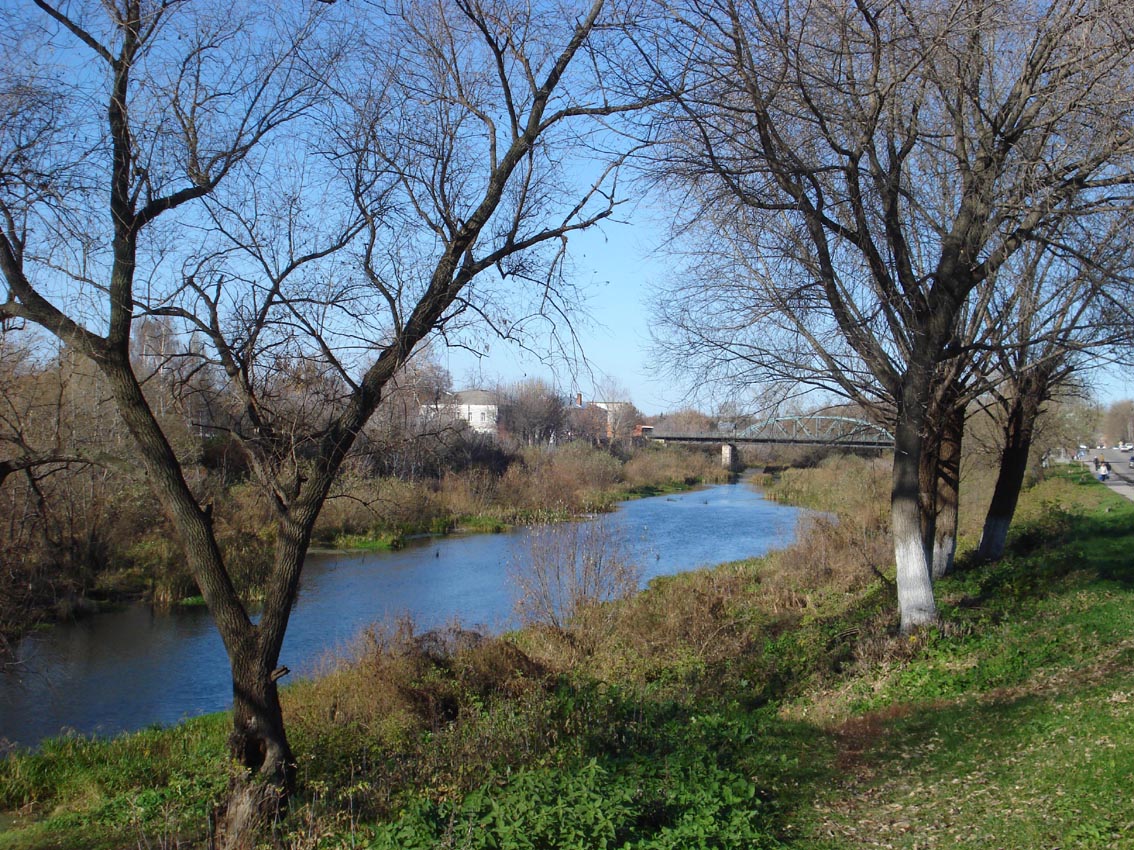 Вид на реку Проня и мост